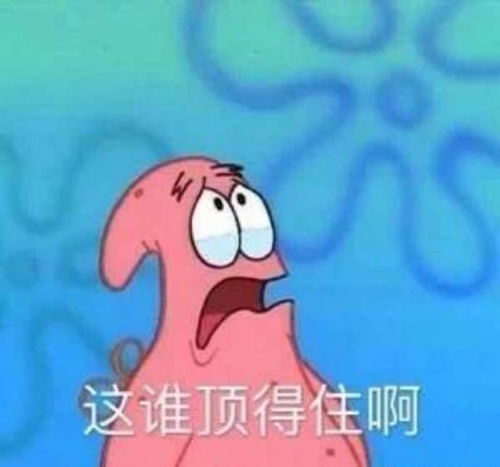震惊表情包搞笑故事大纲