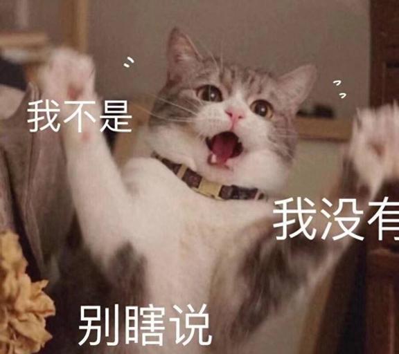 猫咪体味排行榜最香的3种猫和最臭的3种猫