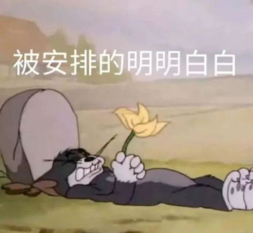一不小心学期就到结局了