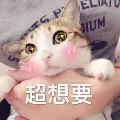 曝光12对情侣聊天新套路,广州人那条让我笑到喷饭