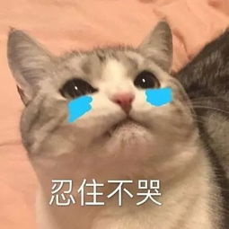 暴雨雷电降温景德镇天气又要大变省里已发紧急通知