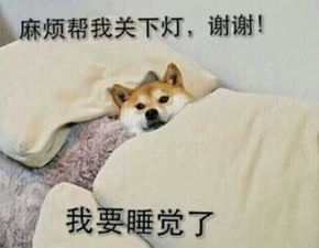 雁翔路树林里现一被弃女婴脐带未剪四肢已发黑
