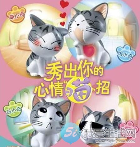 小奇猫表情包甜甜私房猫