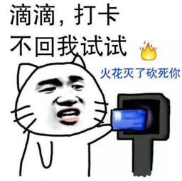 养火花造巨轮表情包
