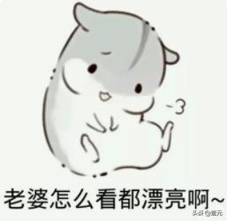 干货求生欲超强的表情包