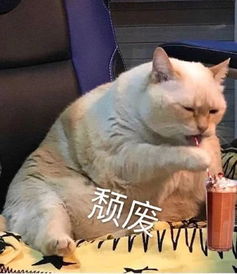 周末好鸭进来收图