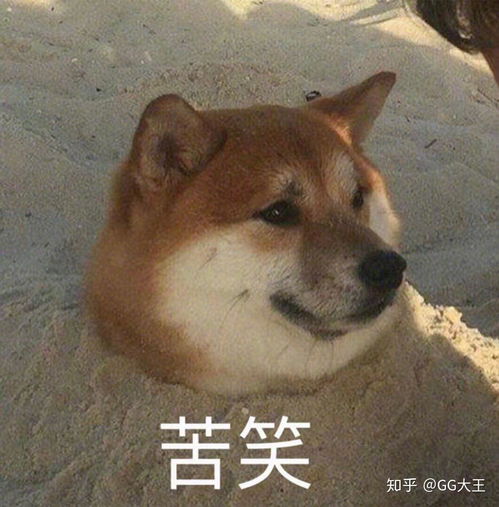 2019年了,前几代iphone还值得入手吗