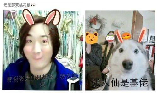 王者荣耀五大沙雕主播嗨氏只能打人机张大仙上榜
