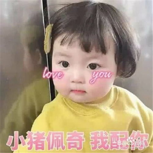 讽刺胖子的表情包粉色