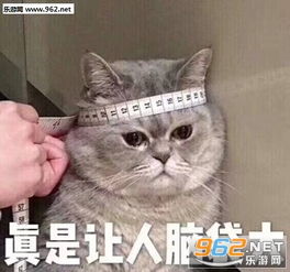 我挨打回来了表情包