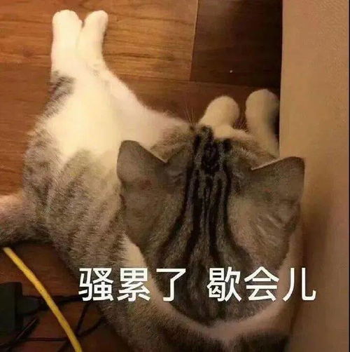 聊天的沙雕表情包又增加了,让我看看谁没存