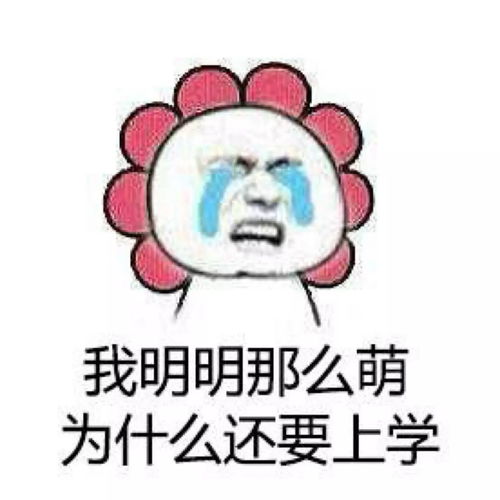 为了祖国的花朵,雷士照明操碎了心