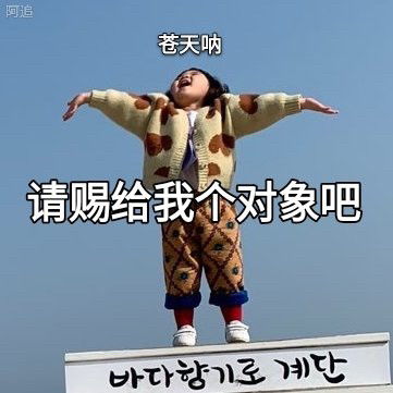 赐我个对象吧表情包