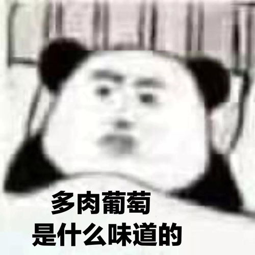 表情包我的快乐,一定会回来的