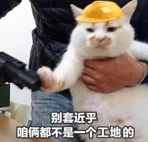 出来聊天吹牛表情包猫的葬礼