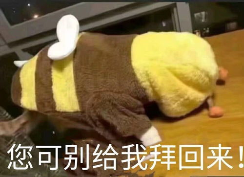 新年表情包给您拜年了