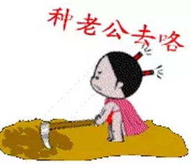 菇凉们的开心一刻种老公