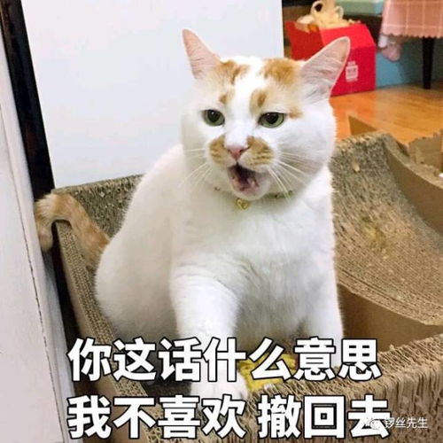 我的表情包去世了