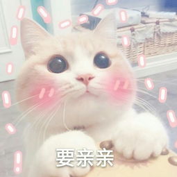 表白可爱表情包一套
