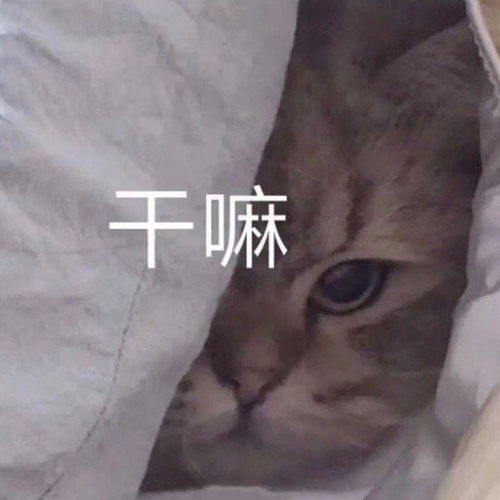 网恋被骗是一种什么体验