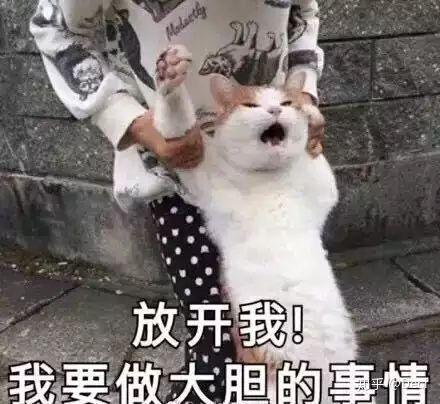 无收藏夹