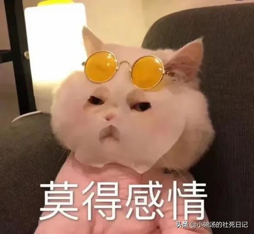 短篇小说故人同梦不同尘02,总有人会捡起七零八落的你