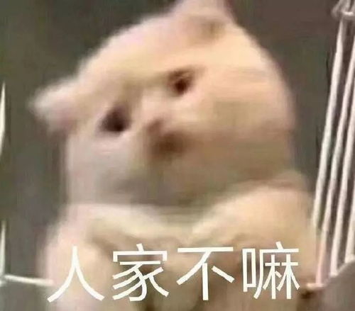萌宠表情包人家不行嘛