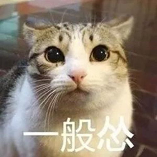 欢笑集锦记得还在读初中时,少年包青天正在上映很火