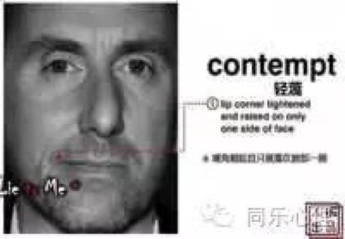 什么是微表情搞笑频道
