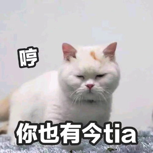 暑期书单又双叒叕来了你囤好了吗