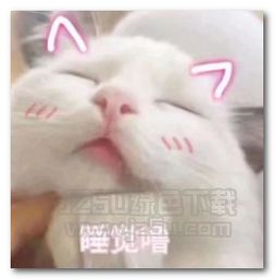 爱死你了表情包可保存表情