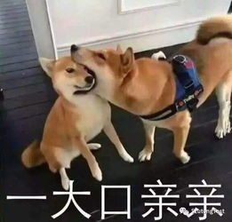 1分钟看完近期重要通知,基本都是好消息