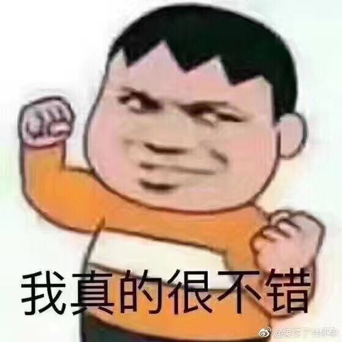 金沙国际租房