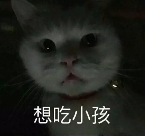天津相声广播蒲公英脱发是为了繁殖下一代,你呢