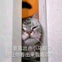 猫咪卖萌表情包看我这么可爱的份上,你就放过我吧