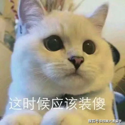 留学前需要了解的30件小事