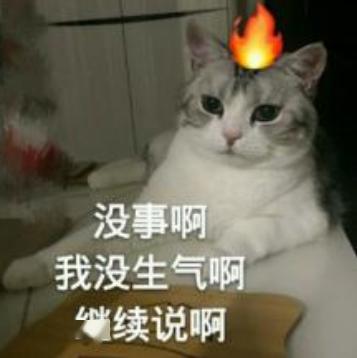 看到弟弟手机里名为紧身胶衣写真的文件,我慌了