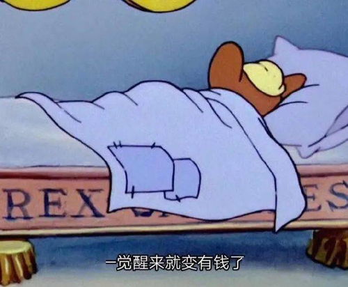 淘宝值得买的袜子店铺,这6家又便宜又好看