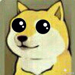 你有什么私藏的特别有魔性的网络表情图