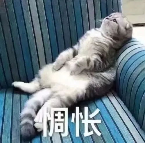 用一个表情包来形容期末