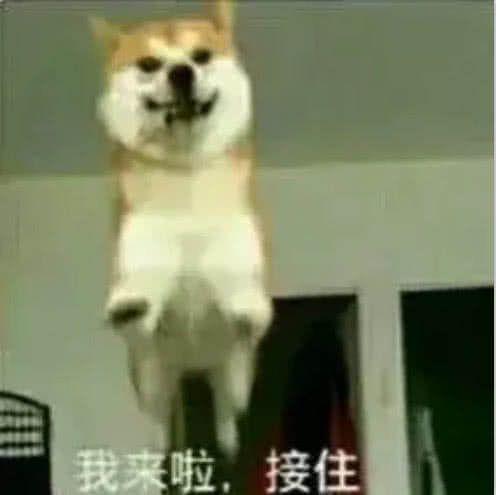 有哪些让你欲罢不能的沙雕头像