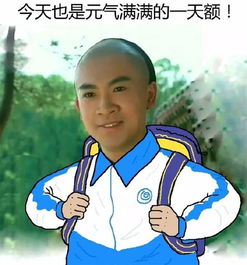 用尔康表情包的你,怎么能斗赢一个用蒙丹表情包的我