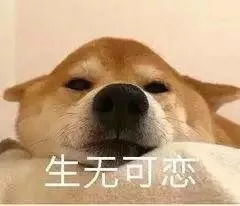 涡阳所有中小学生,今年9月1日不上课,9月2日也不上课晚上几点睡,竟然影响孩子一生开学必知睡眠