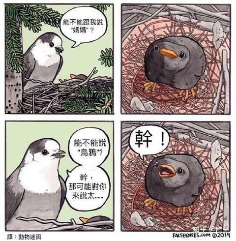 待会去码头整点薯条是什么梗