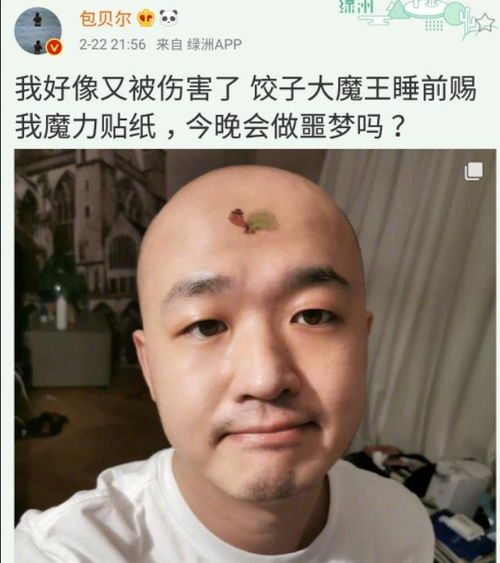 包贝尔的光头,被女儿贴上绿色乌龟贴纸,吐槽饺子是大魔王
