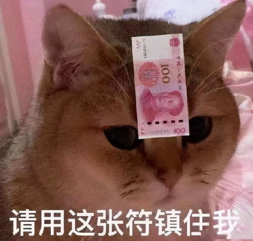 双十一表情包合集贫穷遮住了我的眼睛