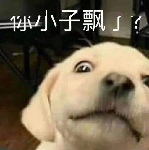 当代杠精有多可怕评论笑吐了