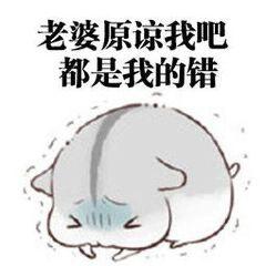 求老婆原谅专用表情包老婆你可以打我骂我,就是不能不理我