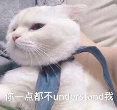 微信猫猫表情包沙雕