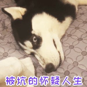 沙雕表情包和她退房了吗可以回我消息了吗